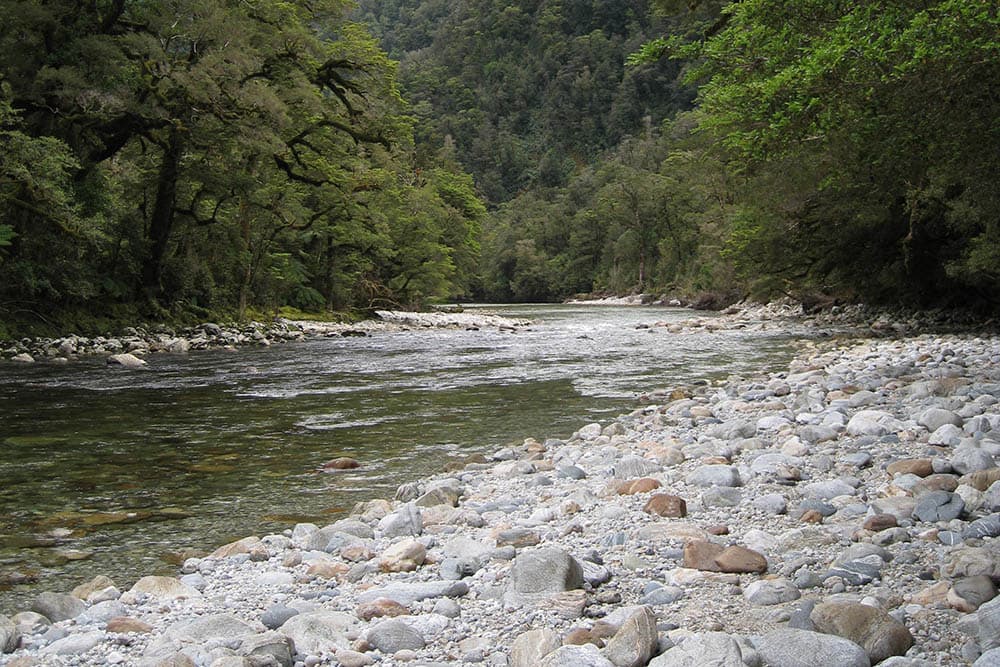A stony river bed running through bush-clad valley